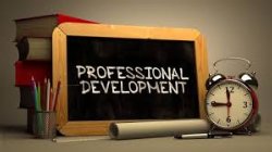 professional Development Day 1/2 day